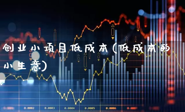 创业小项目低成本(低成本的小生意)_https://www.wanyuyiyao.com_上交所_第1张
