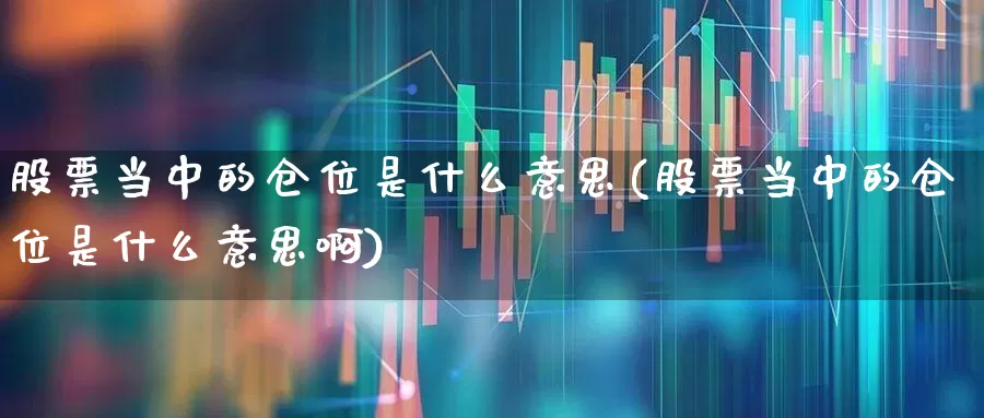 股票当中的仓位是什么意思(股票当中的仓位是什么意思啊)_https://www.wanyuyiyao.com_科创板_第1张