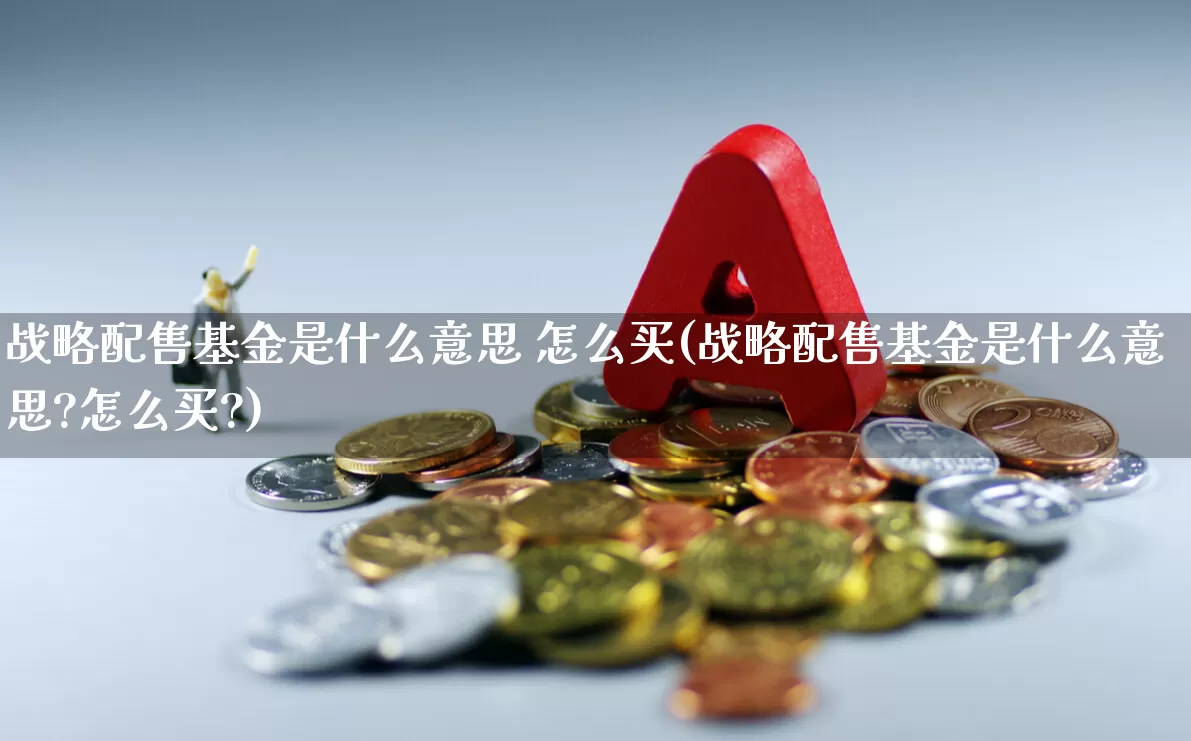 战略配售基金是什么意思 怎么买(战略配售基金是什么意思?怎么买?)_https://www.wanyuyiyao.com_创业板_第1张
