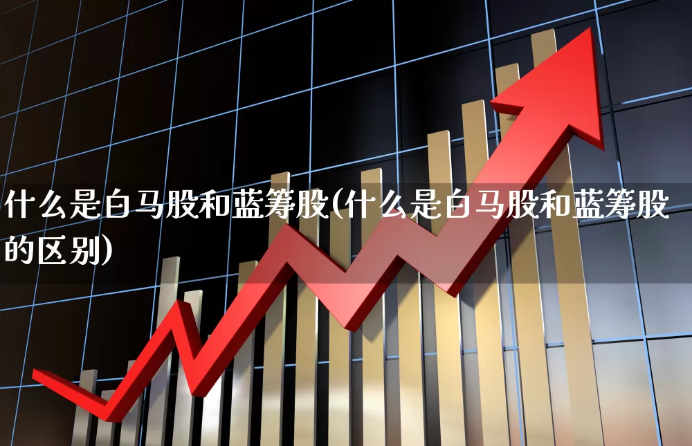 什么是白马股和蓝筹股(什么是白马股和蓝筹股的区别)_https://www.wanyuyiyao.com_北交所_第1张