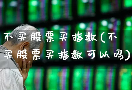 不买股票买指数(不买股票买指数可以吗)_https://www.wanyuyiyao.com_科创板_第1张