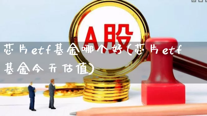 芯片etf基金哪个好(芯片etf基金今天估值)_https://www.wanyuyiyao.com_科创板_第1张