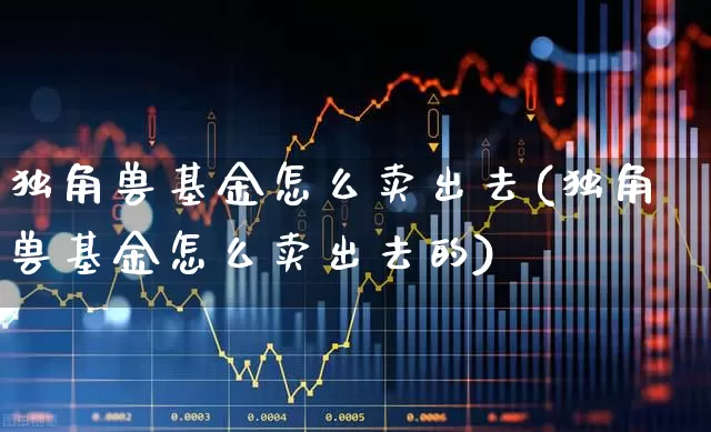 独角兽基金怎么卖出去(独角兽基金怎么卖出去的)_https://www.wanyuyiyao.com_科创板_第1张
