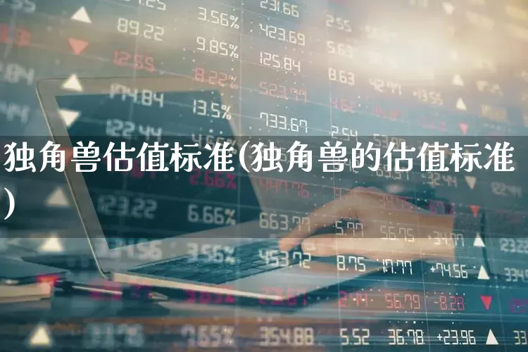 独角兽估值标准(独角兽的估值标准)_https://www.wanyuyiyao.com_创业板_第1张