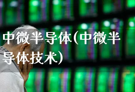 中微半导体(中微半导体技术)_https://www.wanyuyiyao.com_创业板_第1张