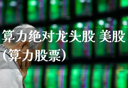 算力绝对龙头股 美股(算力股票)_https://www.wanyuyiyao.com_科创板_第1张