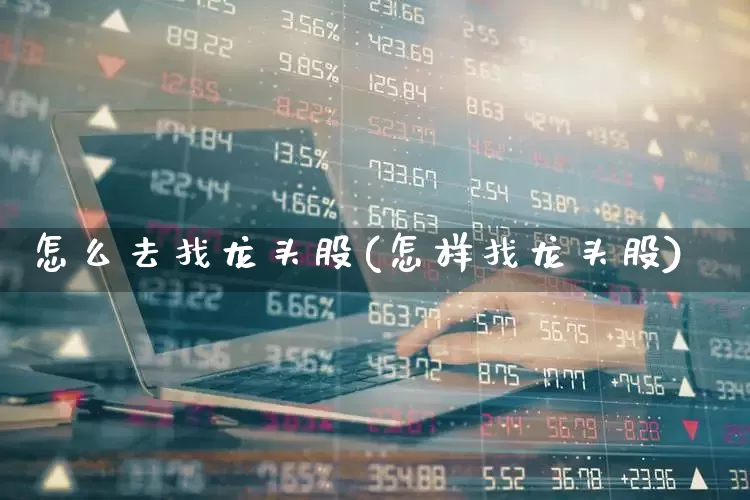 怎么去找龙头股(怎样找龙头股)_https://www.wanyuyiyao.com_上交所_第1张