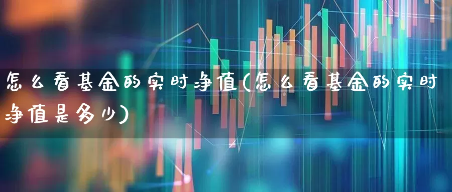 怎么看基金的实时净值(怎么看基金的实时净值是多少)_https://www.wanyuyiyao.com_创业板_第1张