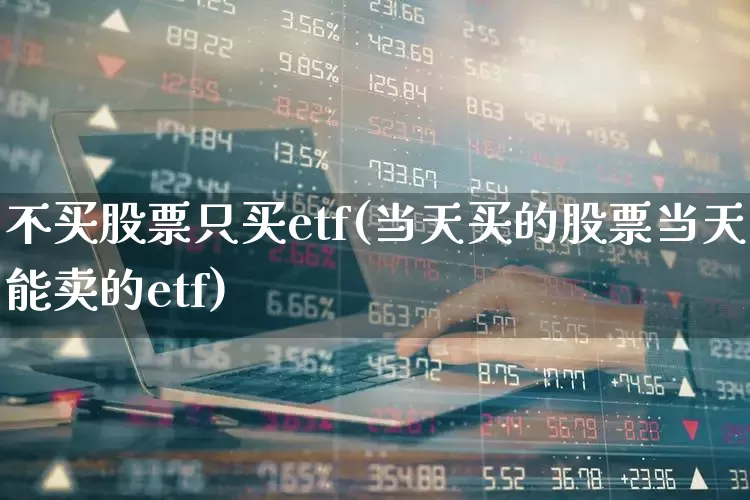 不买股票只买etf(当天买的股票当天能卖的etf)_https://www.wanyuyiyao.com_北交所_第1张