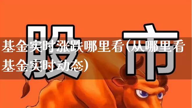 基金实时涨跌哪里看(从哪里看基金实时动态)_https://www.wanyuyiyao.com_上交所_第1张