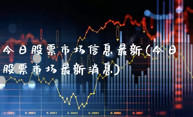 今日股票市场信息最新(今日股票市场最新消息)_https://www.wanyuyiyao.com_北交所_第1张