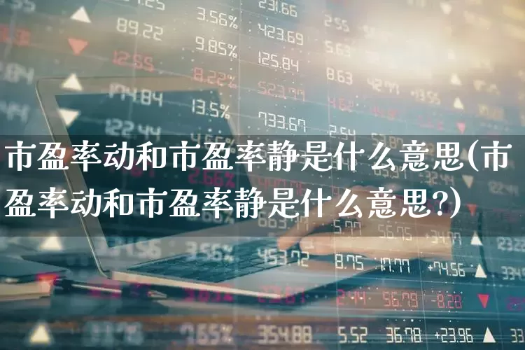 市盈率动和市盈率静是什么意思(市盈率动和市盈率静是什么意思?)_https://www.wanyuyiyao.com_上交所_第1张