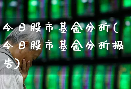 今日股市基金分析(今日股市基金分析报告)_https://www.wanyuyiyao.com_上交所_第1张