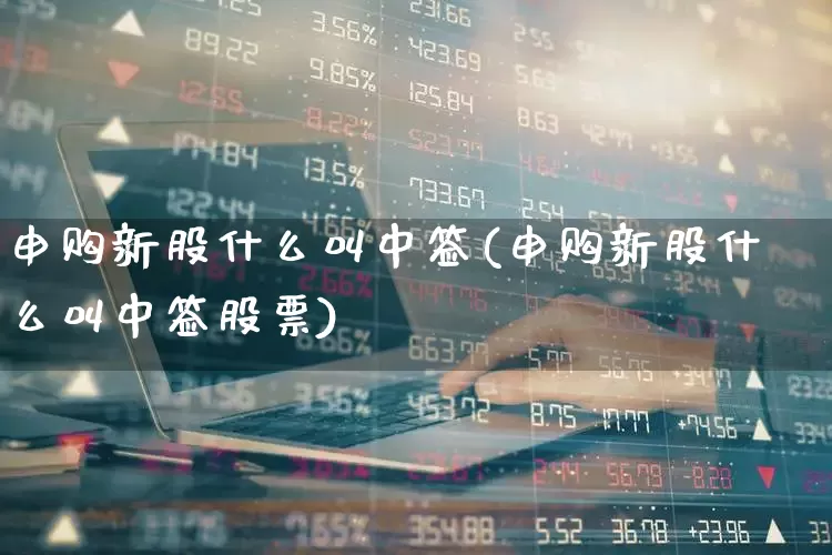 申购新股什么叫中签(申购新股什么叫中签股票)_https://www.wanyuyiyao.com_创业板_第1张