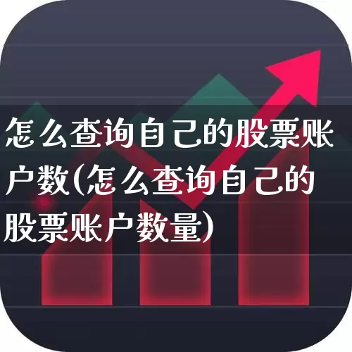 怎么查询自己的股票账户数(怎么查询自己的股票账户数量)_https://www.wanyuyiyao.com_创业板_第1张