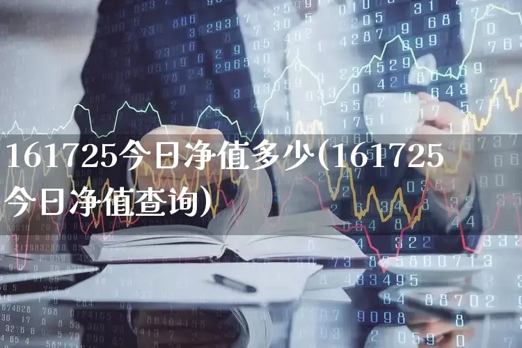 161725今日净值多少(161725今日净值查询)_https://www.wanyuyiyao.com_北交所_第1张