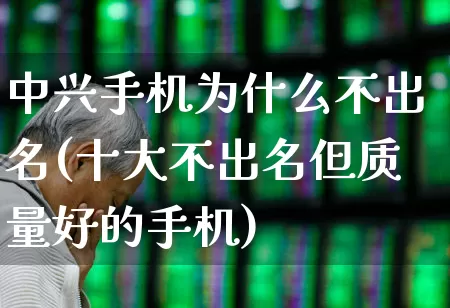 中兴手机为什么不出名(十大不出名但质量好的手机)_https://www.wanyuyiyao.com_科创板_第1张