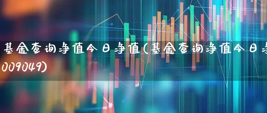 基金查询净值今日净值(基金查询净值今日净值009049)_https://www.wanyuyiyao.com_上交所_第1张