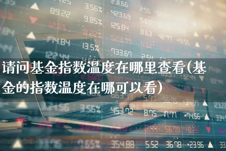请问基金指数温度在哪里查看(基金的指数温度在哪可以看)_https://www.wanyuyiyao.com_深交所_第1张