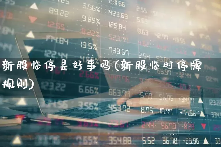 新股临停是好事吗(新股临时停牌规则)_https://www.wanyuyiyao.com_创业板_第1张