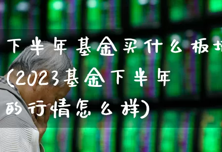 下半年基金买什么板块(2023基金下半年的行情怎么样)_https://www.wanyuyiyao.com_科创板_第1张