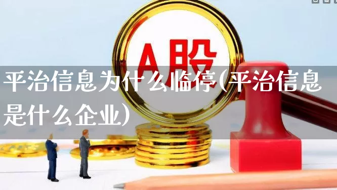 平治信息为什么临停(平治信息是什么企业)_https://www.wanyuyiyao.com_深交所_第1张