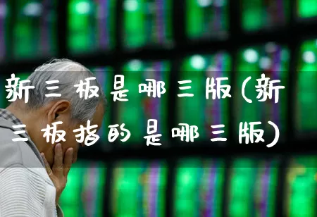 新三板是哪三版(新三板指的是哪三版)_https://www.wanyuyiyao.com_北交所_第1张