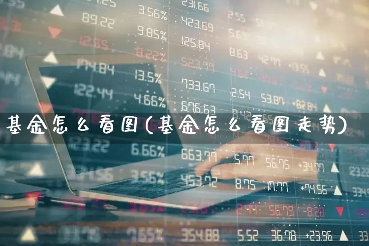 基金怎么看图(基金怎么看图走势)_https://www.wanyuyiyao.com_深交所_第1张