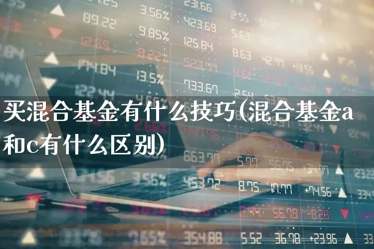 买混合基金有什么技巧(混合基金a和c有什么区别)_https://www.wanyuyiyao.com_北交所_第1张