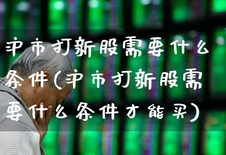 沪市打新股需要什么条件(沪市打新股需要什么条件才能买)_https://www.wanyuyiyao.com_深交所_第1张