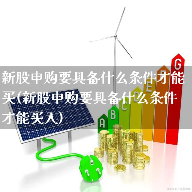 新股申购要具备什么条件才能买(新股申购要具备什么条件才能买入)_https://www.wanyuyiyao.com_深交所_第1张