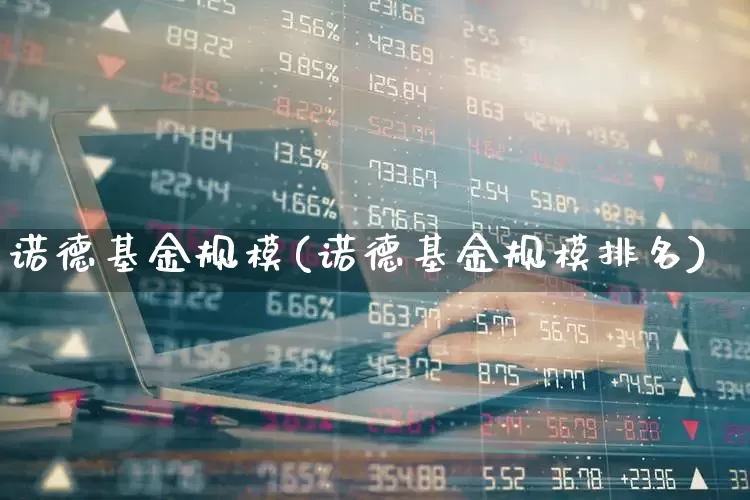 诺德基金规模(诺德基金规模排名)_https://www.wanyuyiyao.com_创业板_第1张