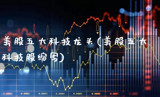 美股五大科技龙头(美股五大科技股缩写)_https://www.wanyuyiyao.com_科创板_第1张