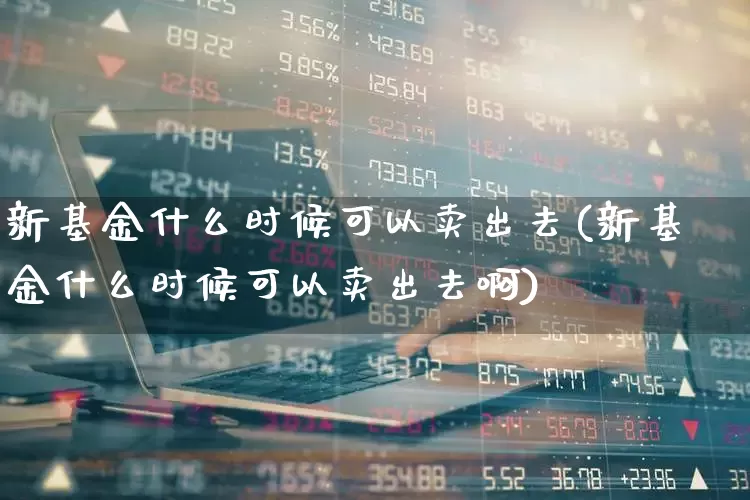 新基金什么时候可以卖出去(新基金什么时候可以卖出去啊)_https://www.wanyuyiyao.com_上交所_第1张