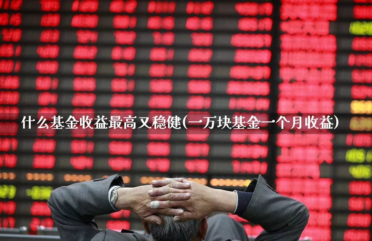 什么基金收益最高又稳健(一万块基金一个月收益)_https://www.wanyuyiyao.com_创业板_第1张