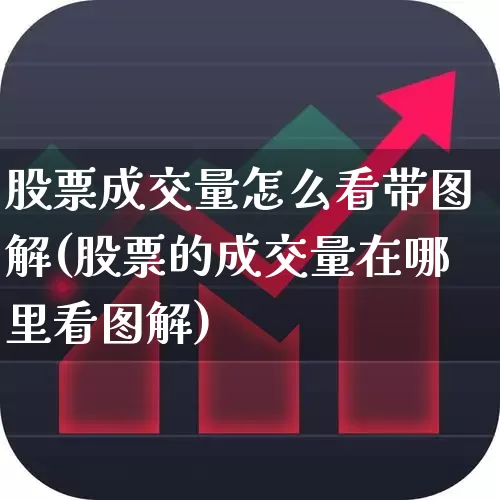 股票成交量怎么看带图解(股票的成交量在哪里看图解)_https://www.wanyuyiyao.com_北交所_第1张