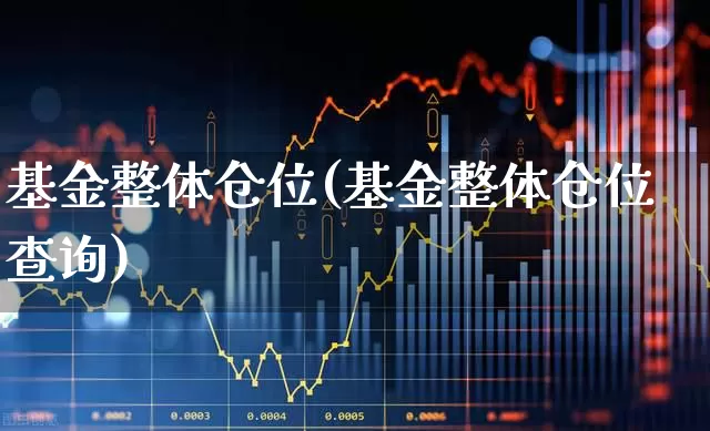 基金整体仓位(基金整体仓位查询)_https://www.wanyuyiyao.com_创业板_第1张