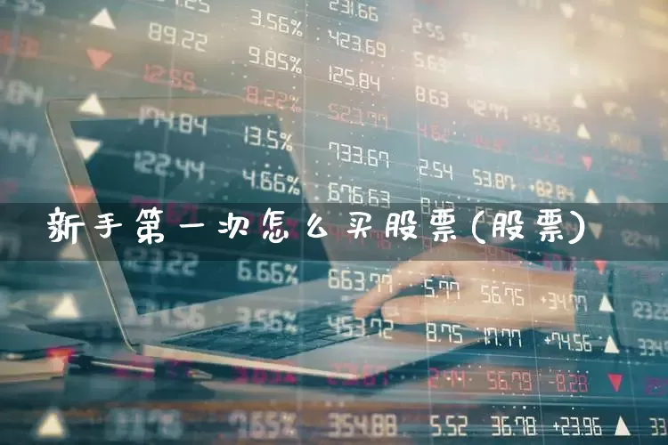 新手第一次怎么买股票(股票)_https://www.wanyuyiyao.com_创业板_第1张