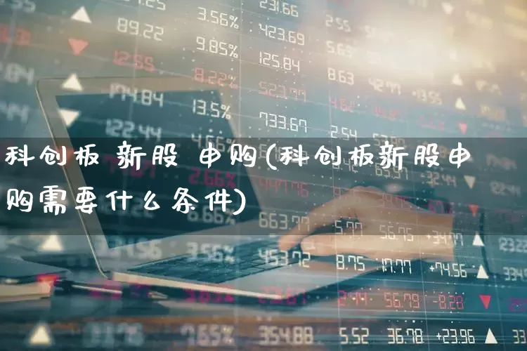 科创板 新股 申购(科创板新股申购需要什么条件)_https://www.wanyuyiyao.com_上交所_第1张