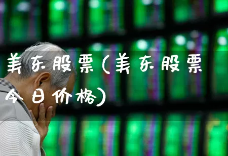 美东股票(美东股票今日价格)_https://www.wanyuyiyao.com_科创板_第1张