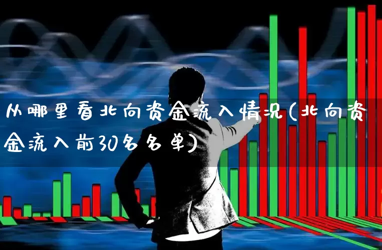 从哪里看北向资金流入情况(北向资金流入前30名名单)_https://www.wanyuyiyao.com_上交所_第1张