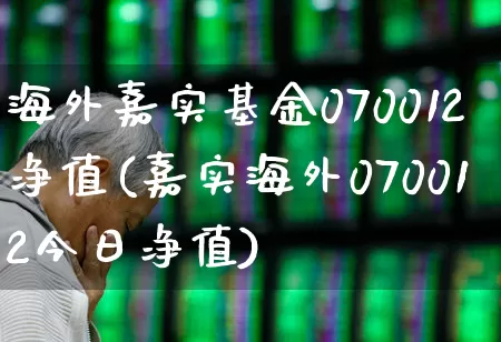 海外嘉实基金070012净值(嘉实海外070012今日净值)_https://www.wanyuyiyao.com_上交所_第1张
