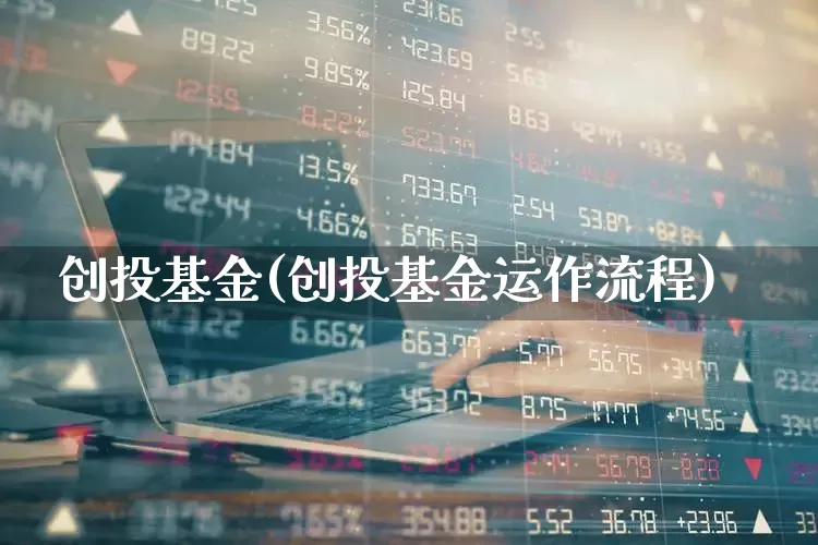 创投基金(创投基金运作流程)_https://www.wanyuyiyao.com_科创板_第1张