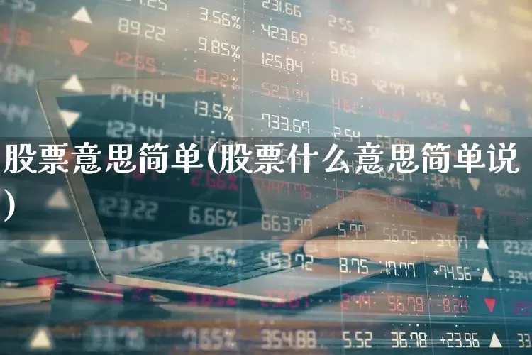 股票意思简单(股票什么意思简单说)_https://www.wanyuyiyao.com_深交所_第1张