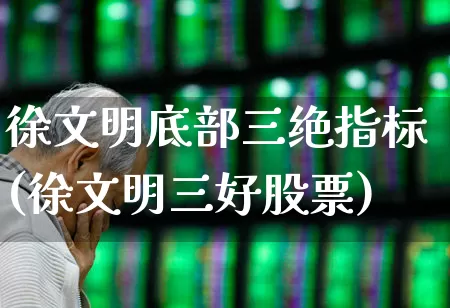徐文明底部三绝指标(徐文明三好股票)_https://www.wanyuyiyao.com_科创板_第1张