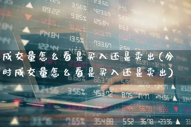 成交量怎么看是买入还是卖出(分时成交量怎么看是买入还是卖出)_https://www.wanyuyiyao.com_上交所_第1张