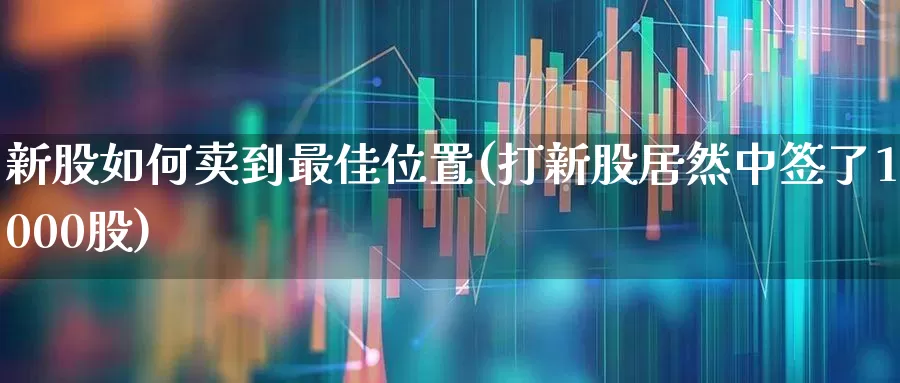 新股如何卖到最佳位置(打新股居然中签了1000股)_https://www.wanyuyiyao.com_创业板_第1张