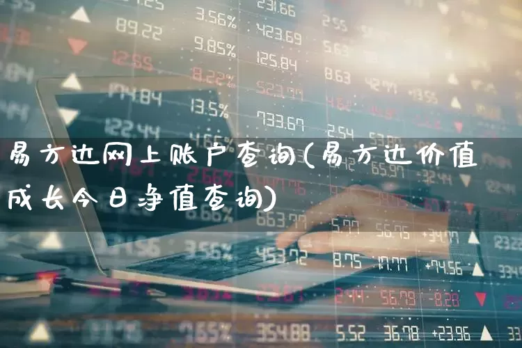 易方达网上账户查询(易方达价值成长今日净值查询)_https://www.wanyuyiyao.com_科创板_第1张
