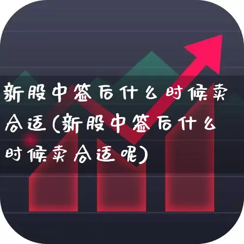 新股中签后什么时候卖合适(新股中签后什么时候卖合适呢)_https://www.wanyuyiyao.com_深交所_第1张