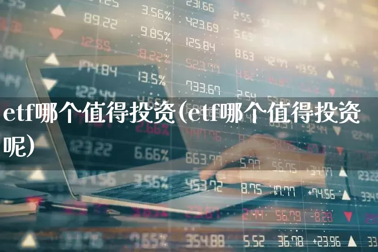 etf哪个值得投资(etf哪个值得投资呢)_https://www.wanyuyiyao.com_上交所_第1张